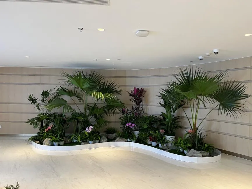 宁波慈溪盆景出租公司